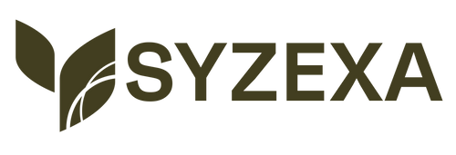 syzexa.com